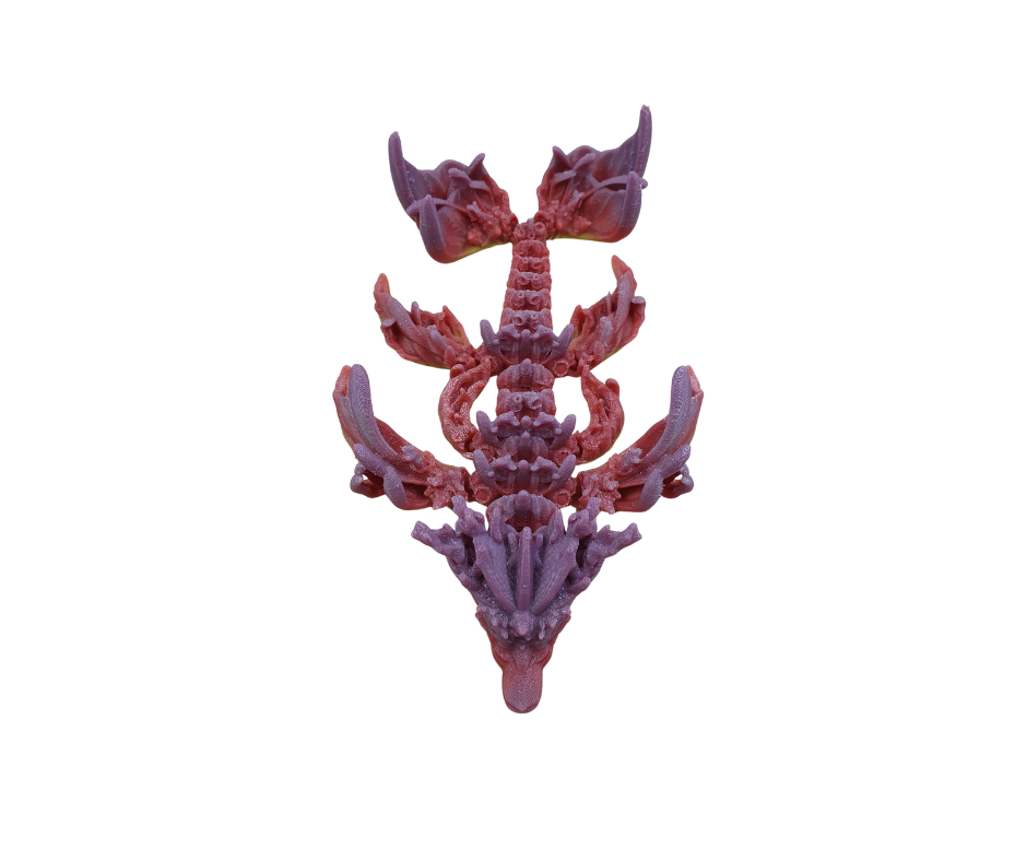 Baby Coral Reef Dragon
