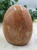 Peach Moonstone Freeform #1