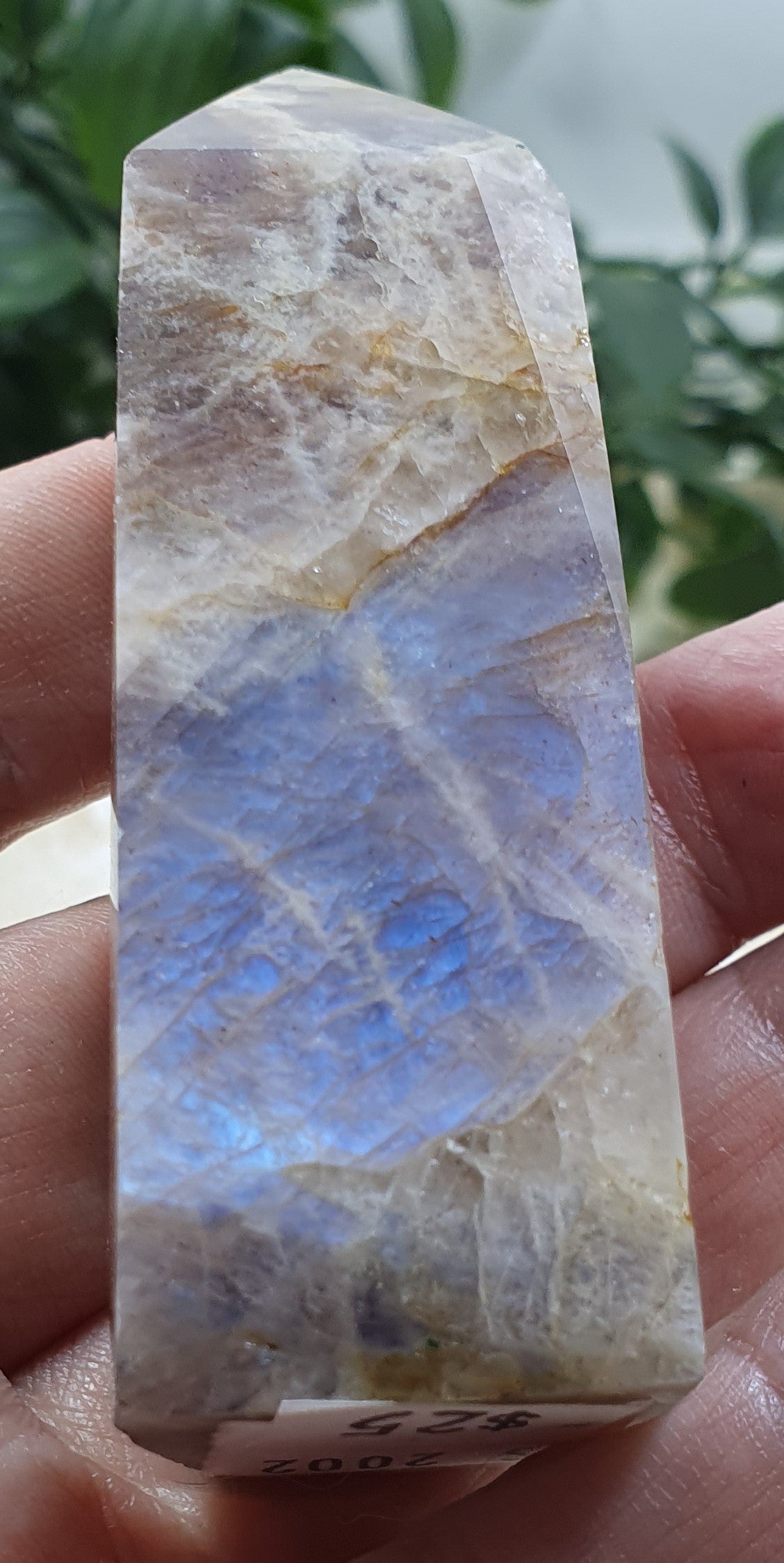 Blue Moonstone Points #4