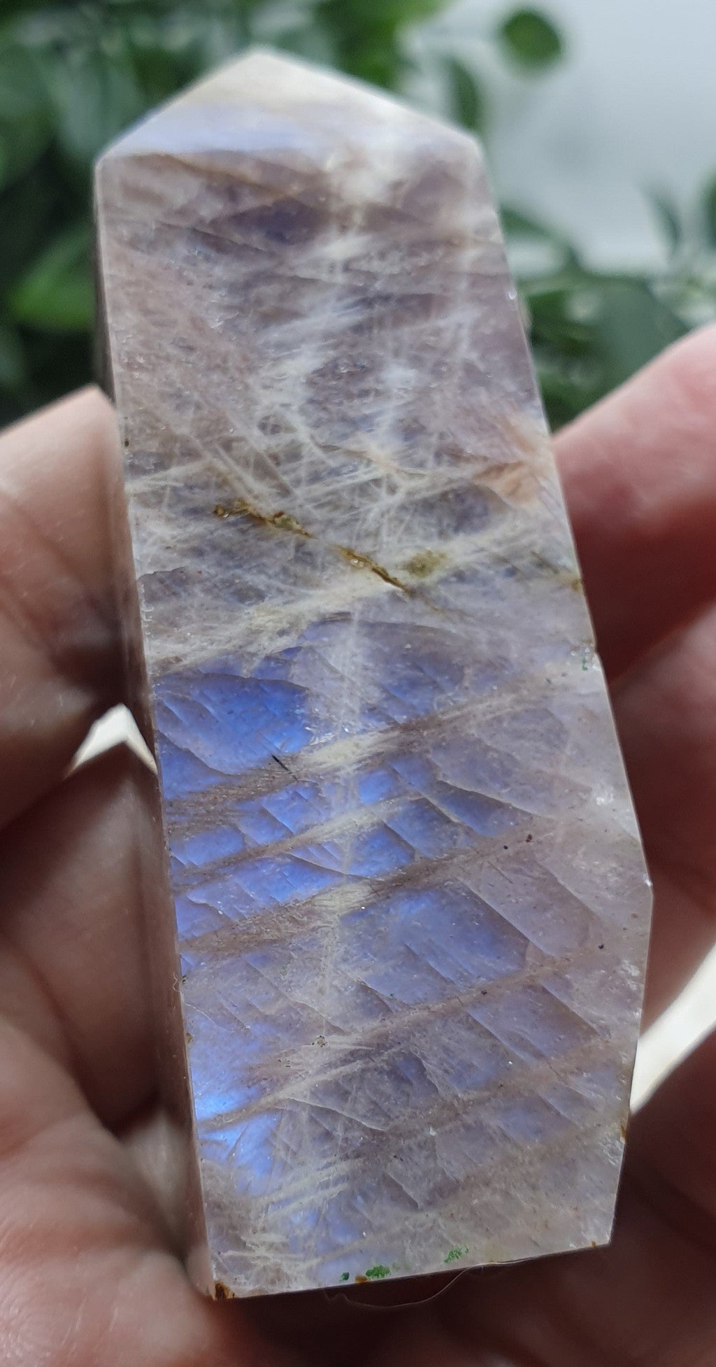 Blue Moonstone Points #4