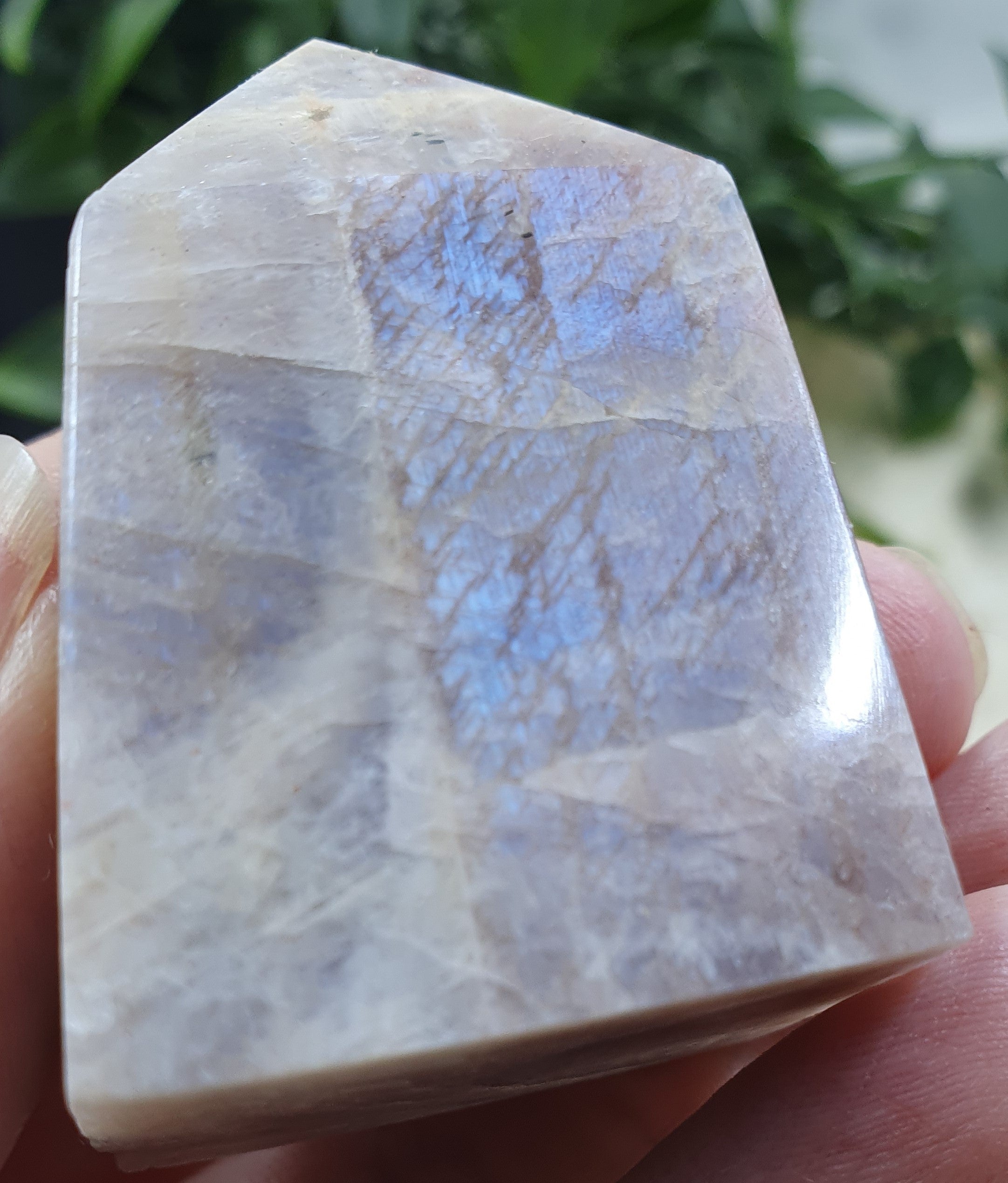 Blue Moonstone Points #8