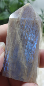 Blue Moonstone Points #12