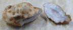 Quartz Geode Pair - Cracked #1