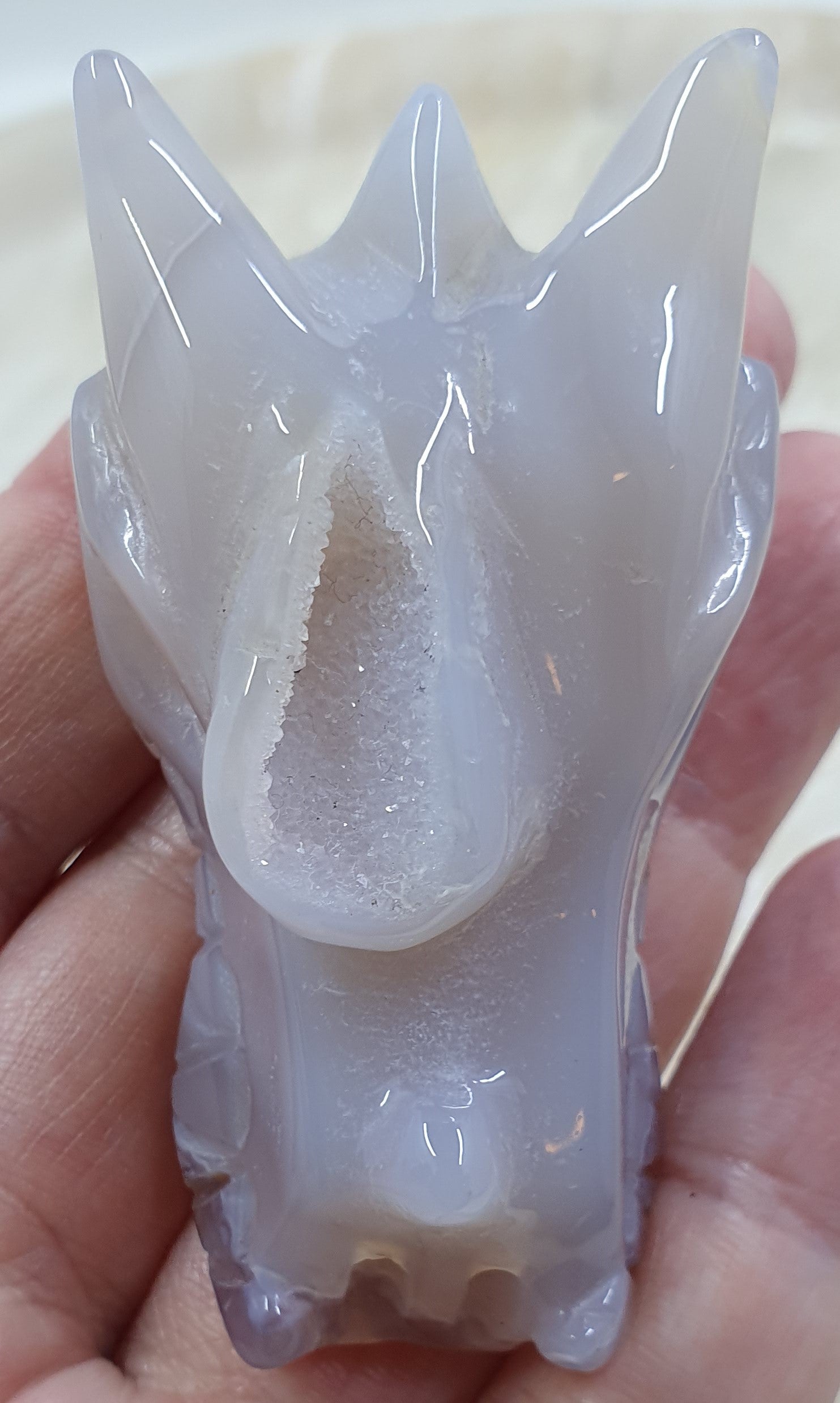 Druzy Agate Dragons Head #6