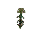 Baby Clover Dragons