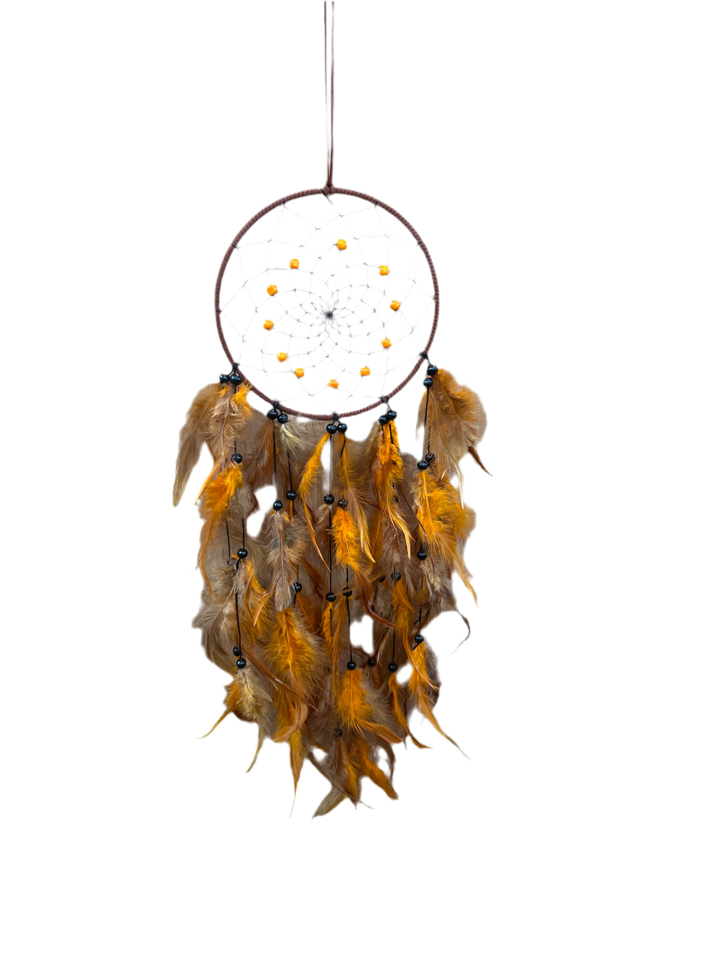 Dream Catchers