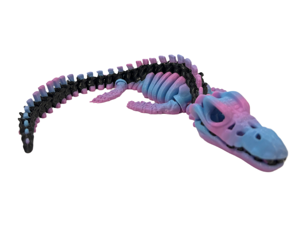 Mosasaurus Skeleton