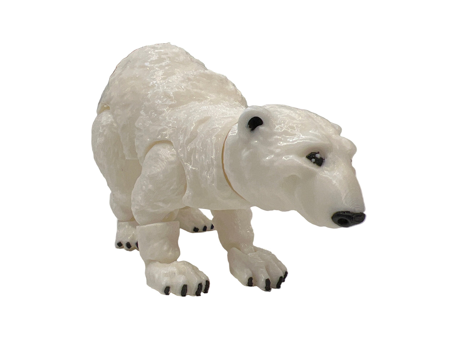 Polar Bear