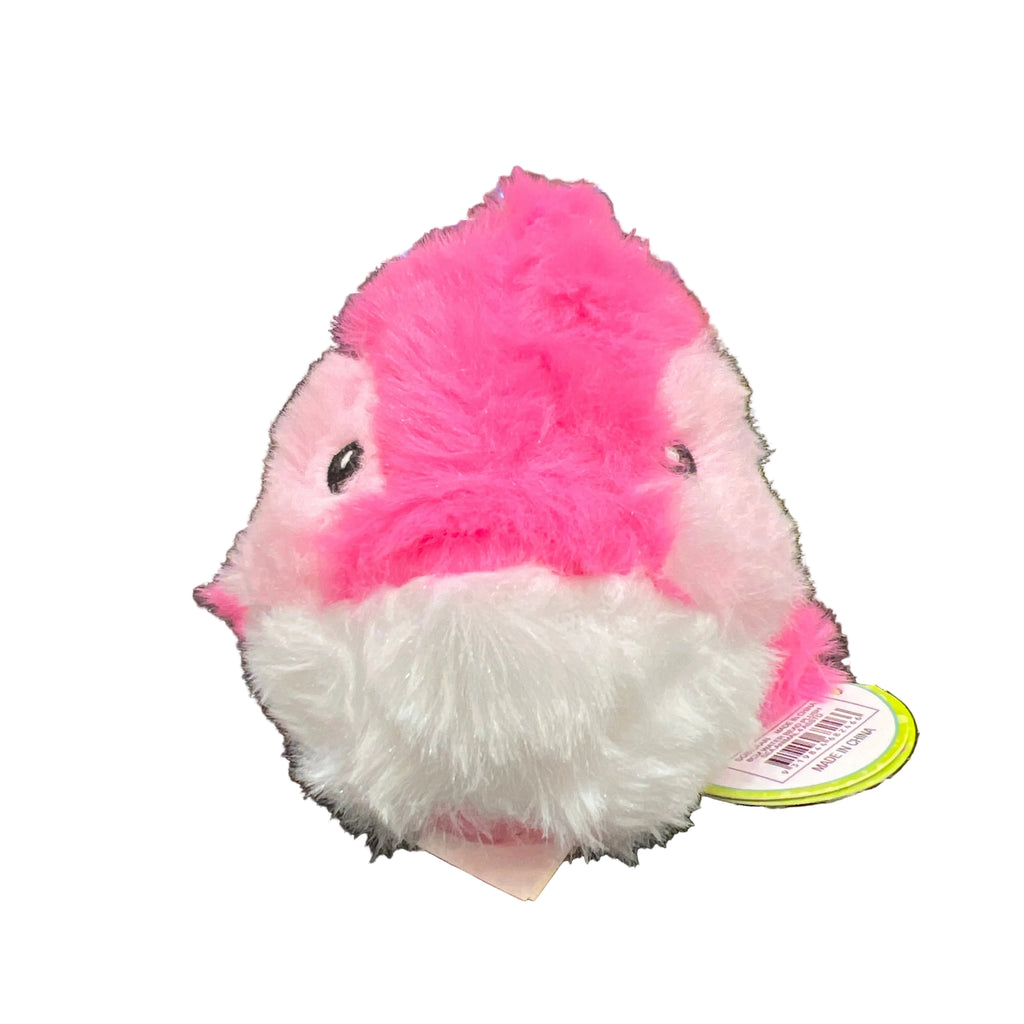Squeegies