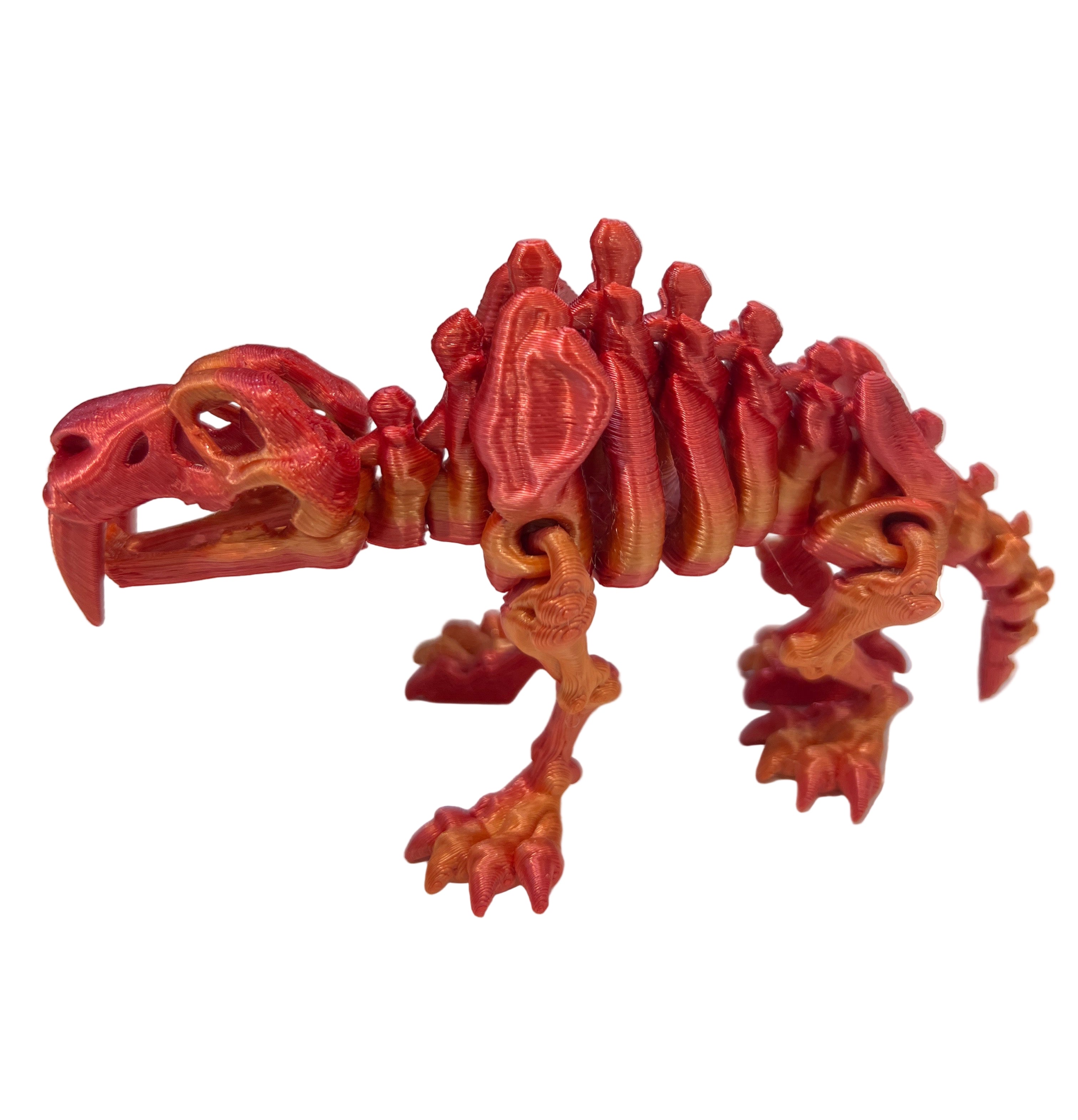 Skeleton Saber Tooth Tiger - Small