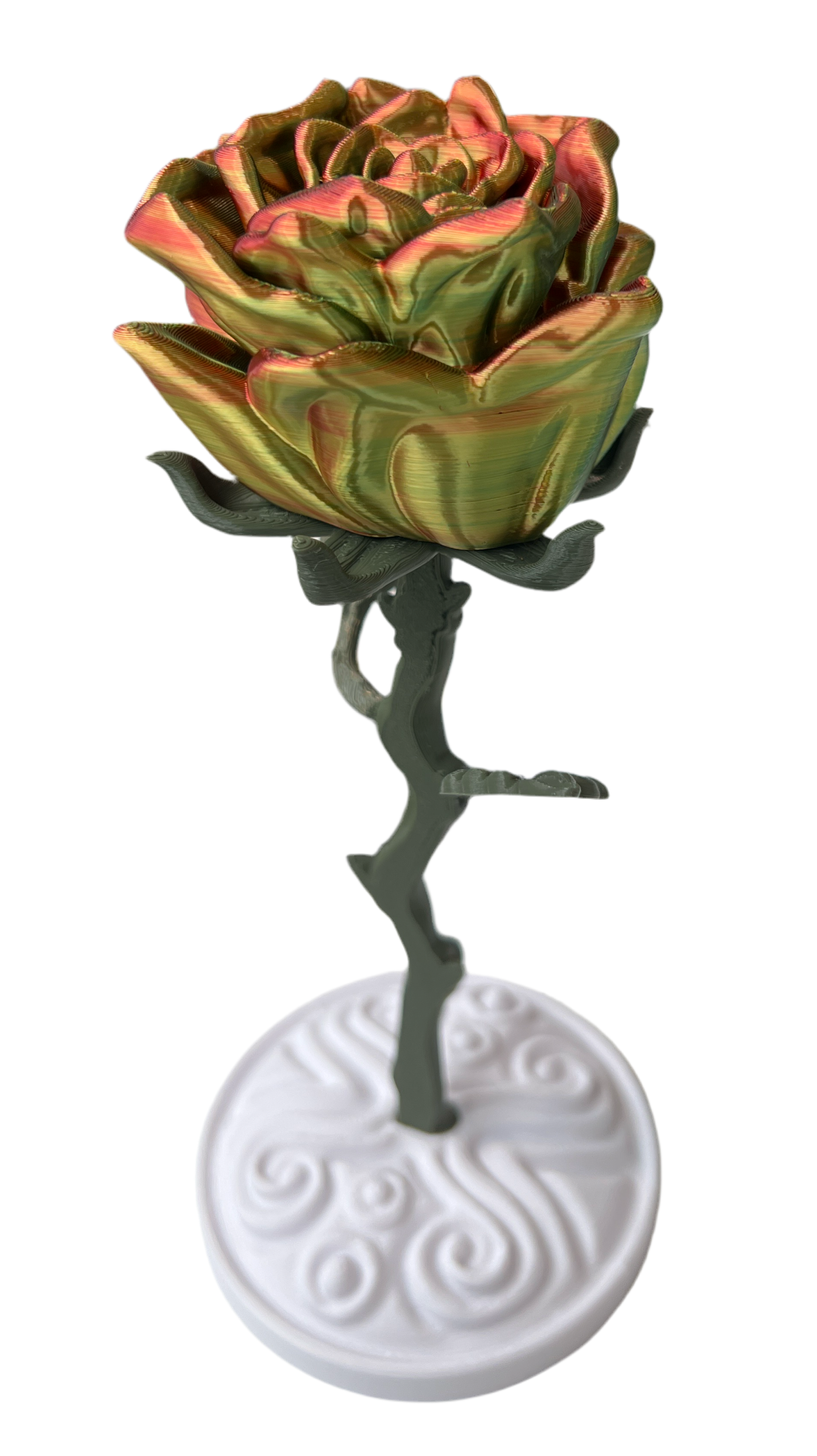 Valentines Roses