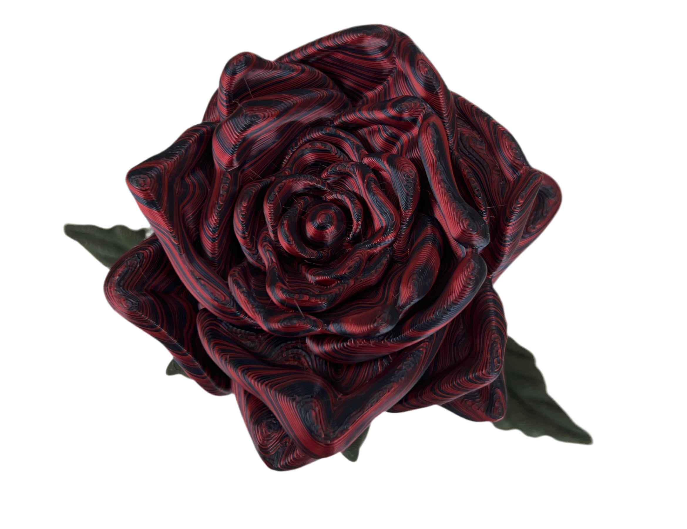 Valentines Roses
