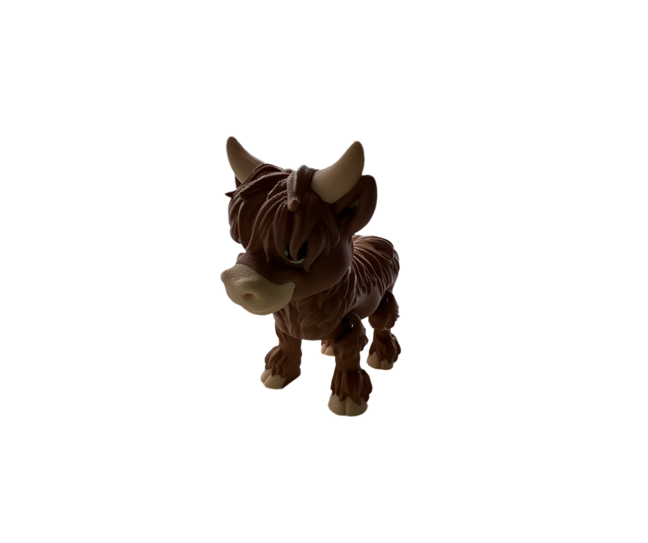 Highland Cows