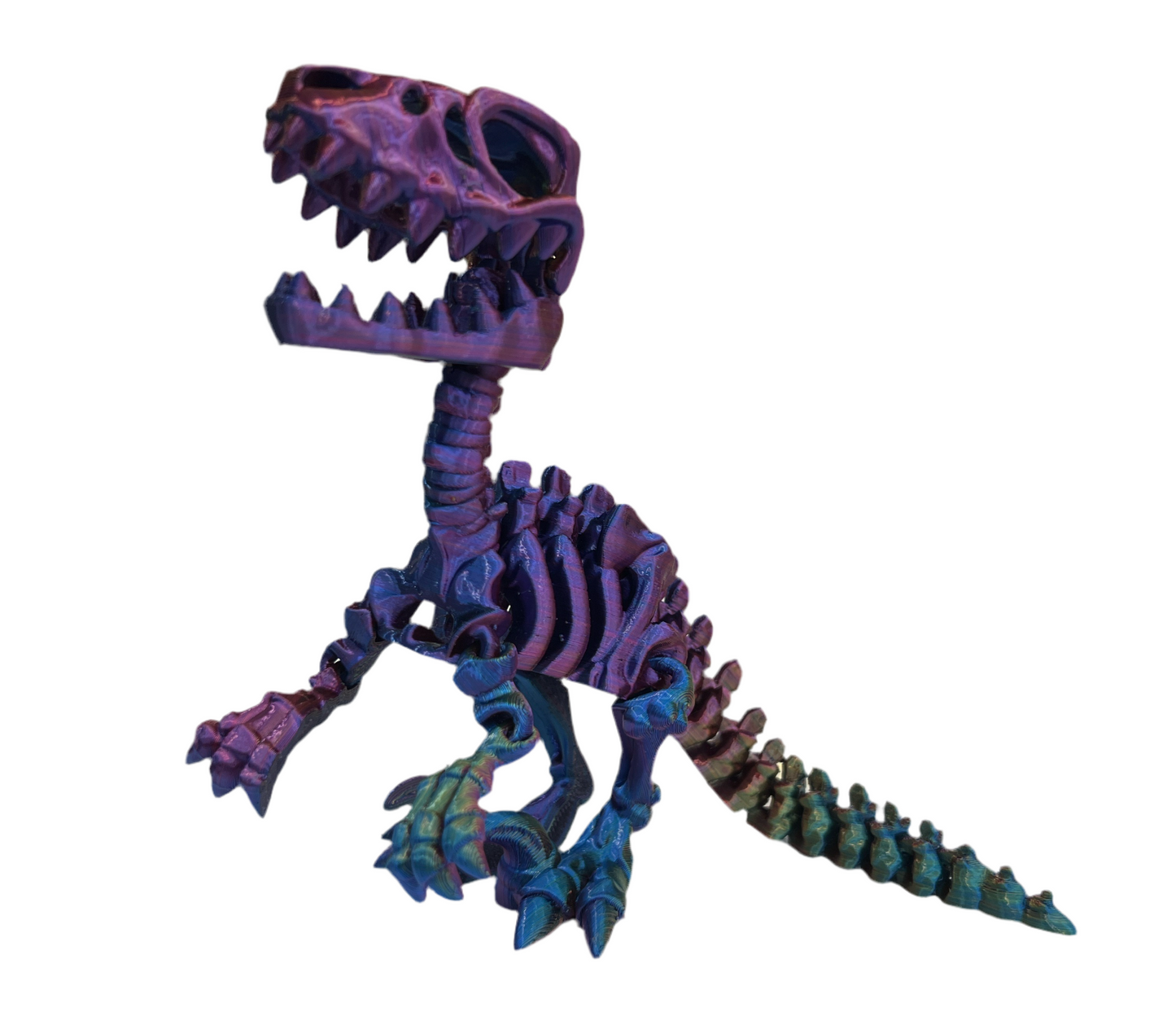 Raptor Skeleton
