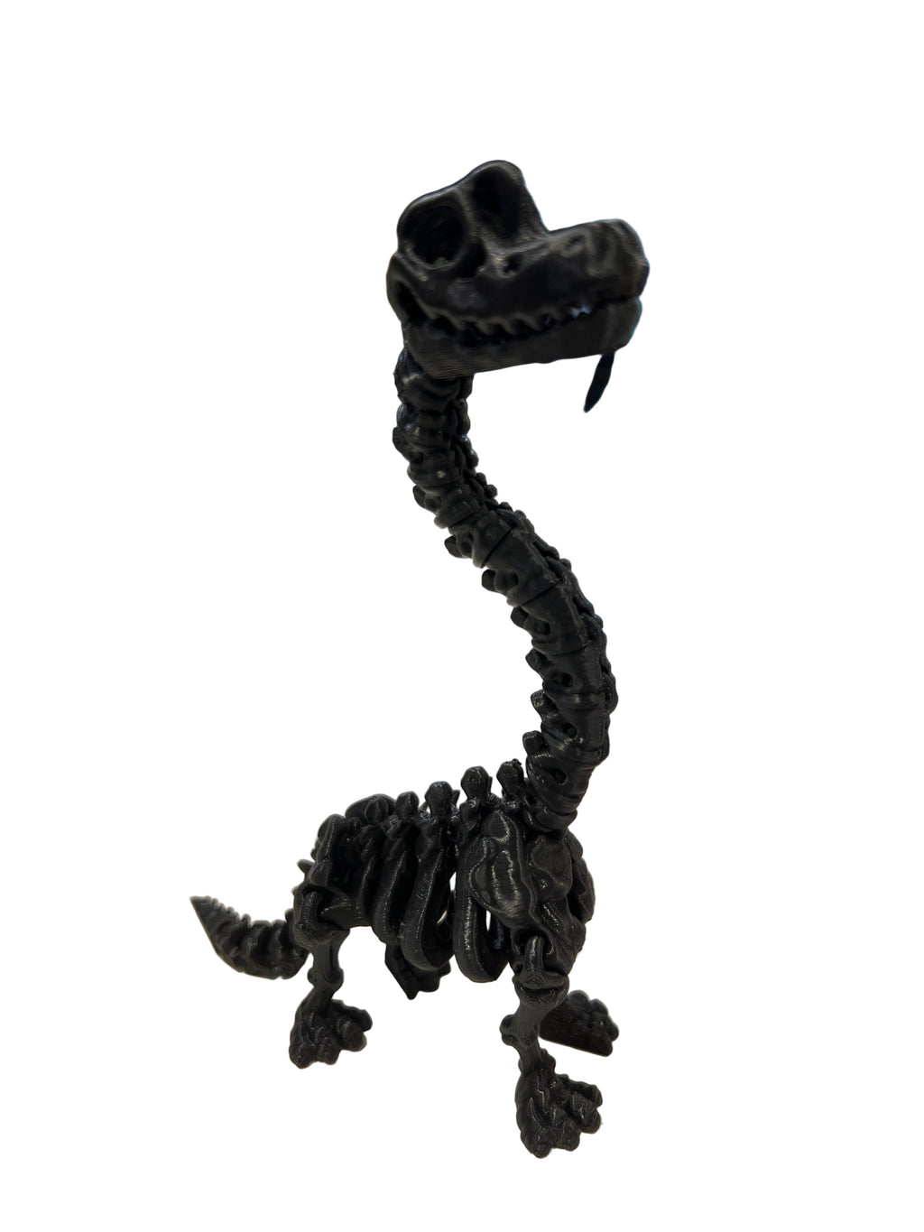 Skeleton Brachiosaurus - Small