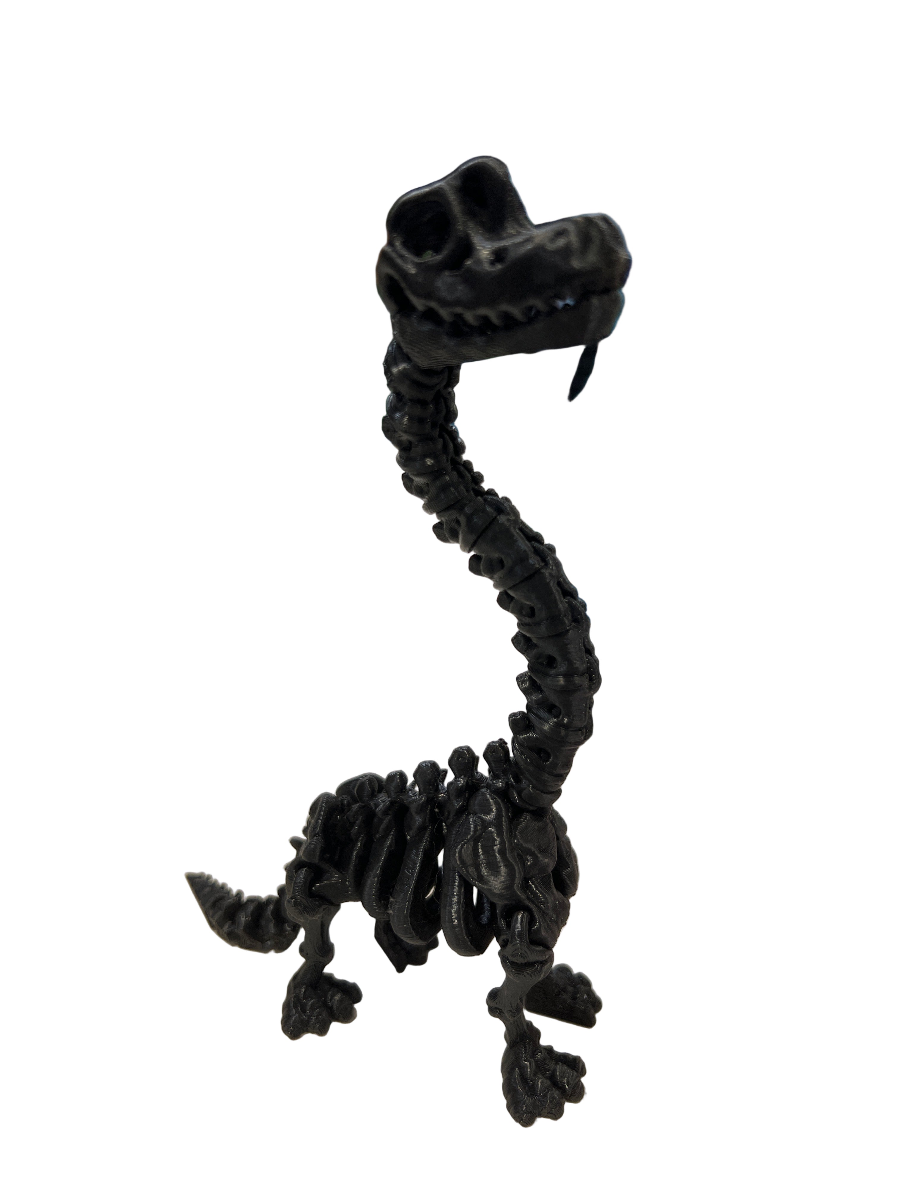 Skeleton Brachiosaurus - Small