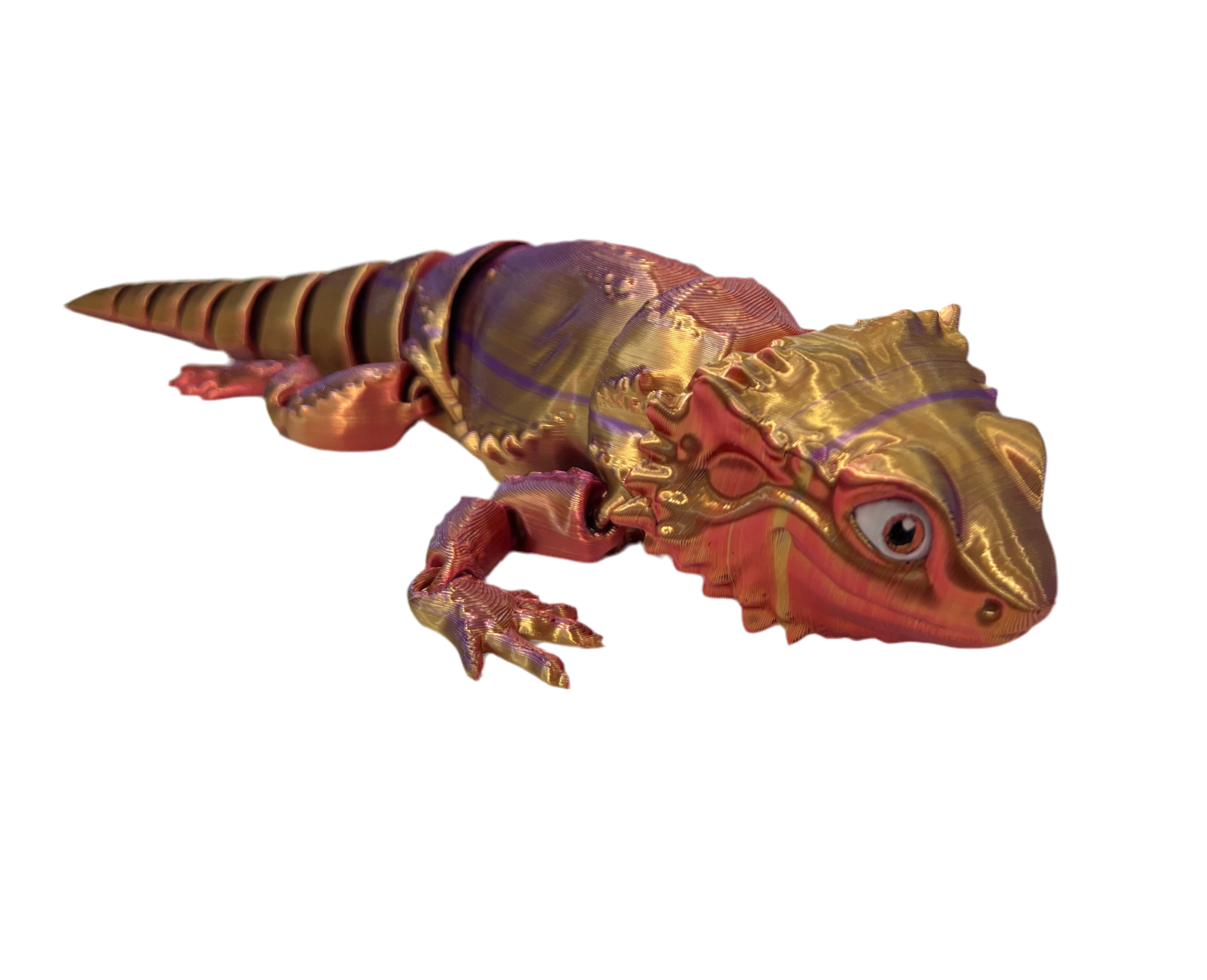 Baby Bearded Dragons