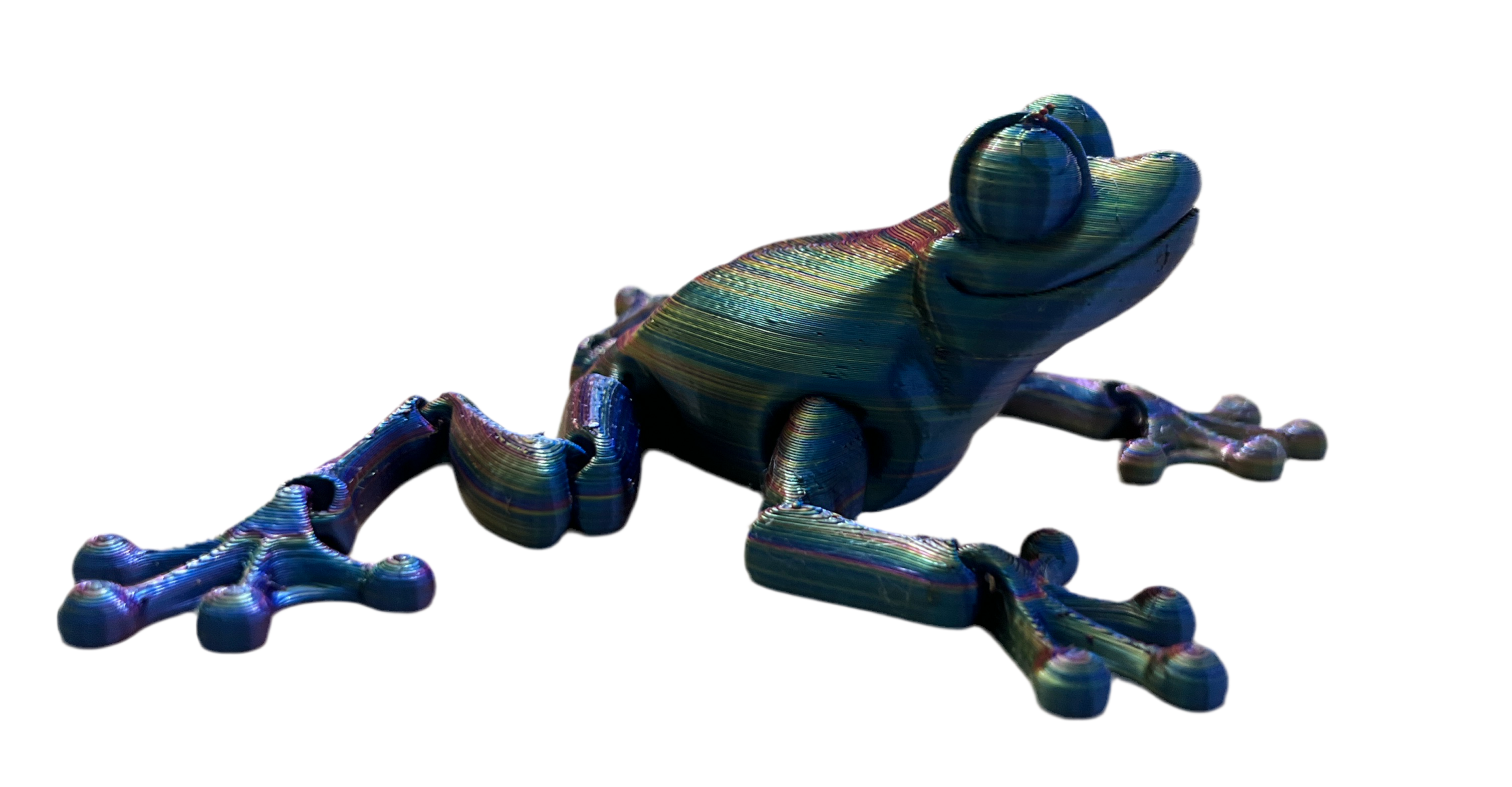 Frogs