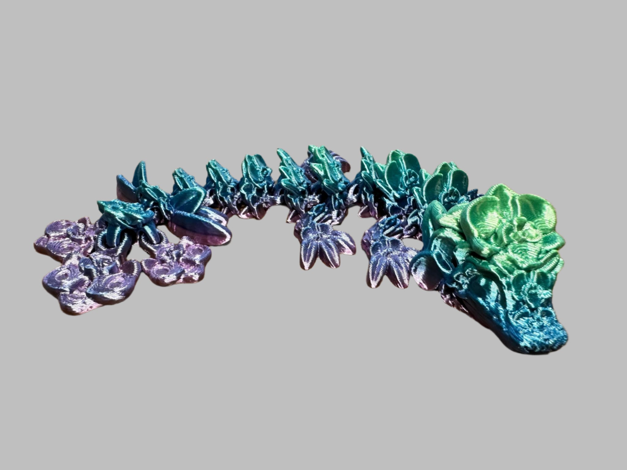 Baby Orchid Dragon
