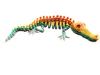 Skeleton Crocodiles