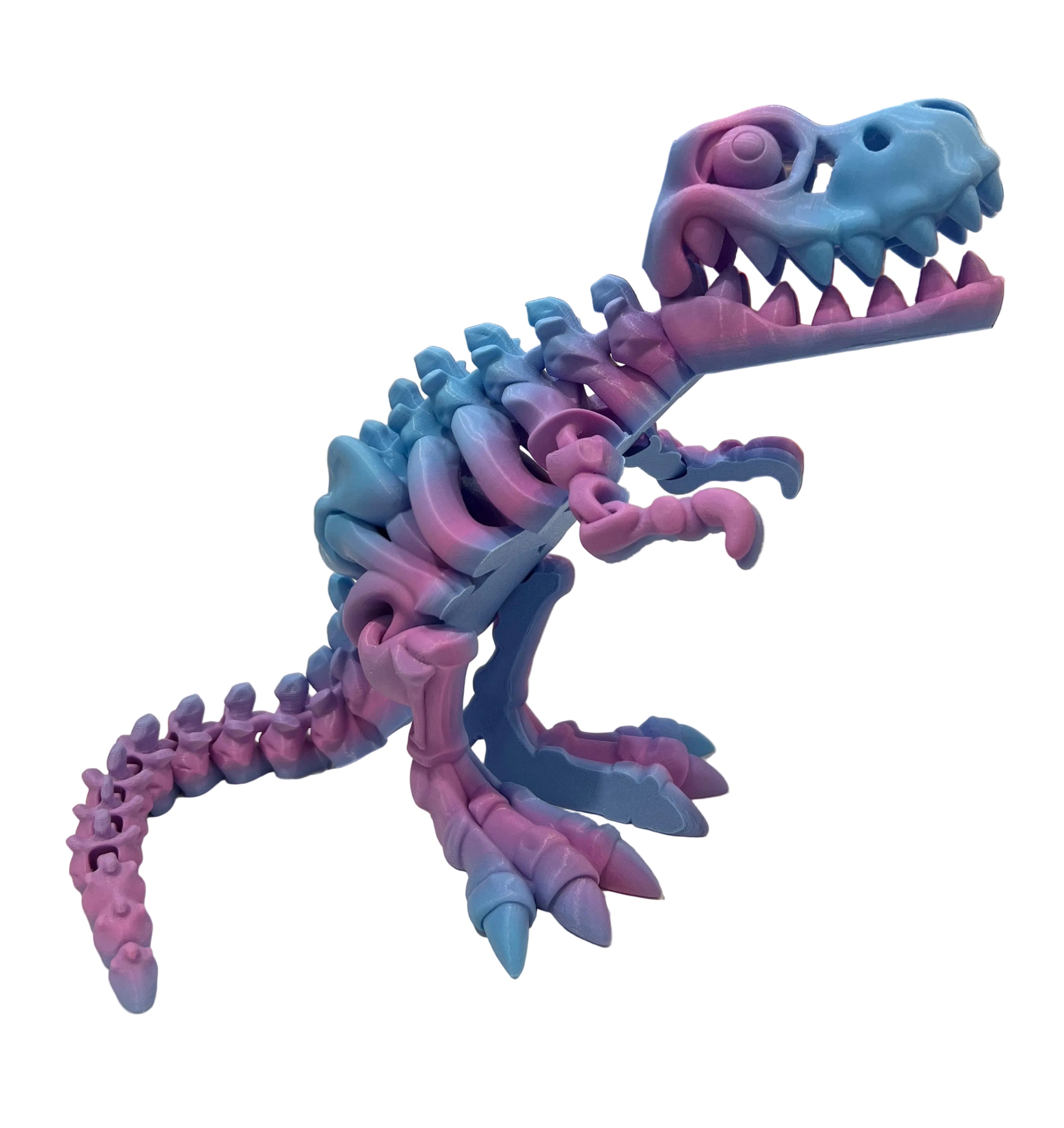 Skeleton XX Large T-Rex