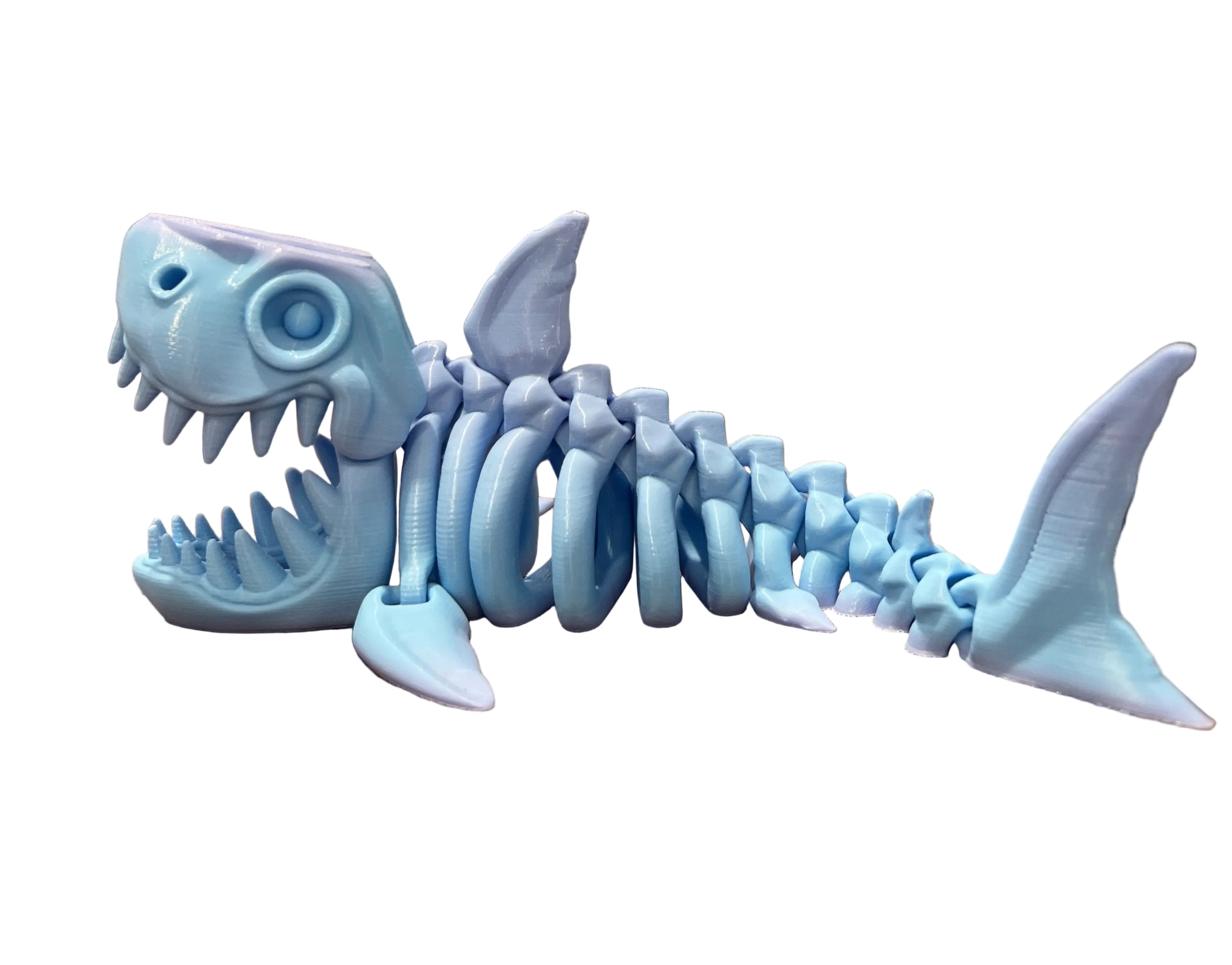 Skeleton XL Sharks