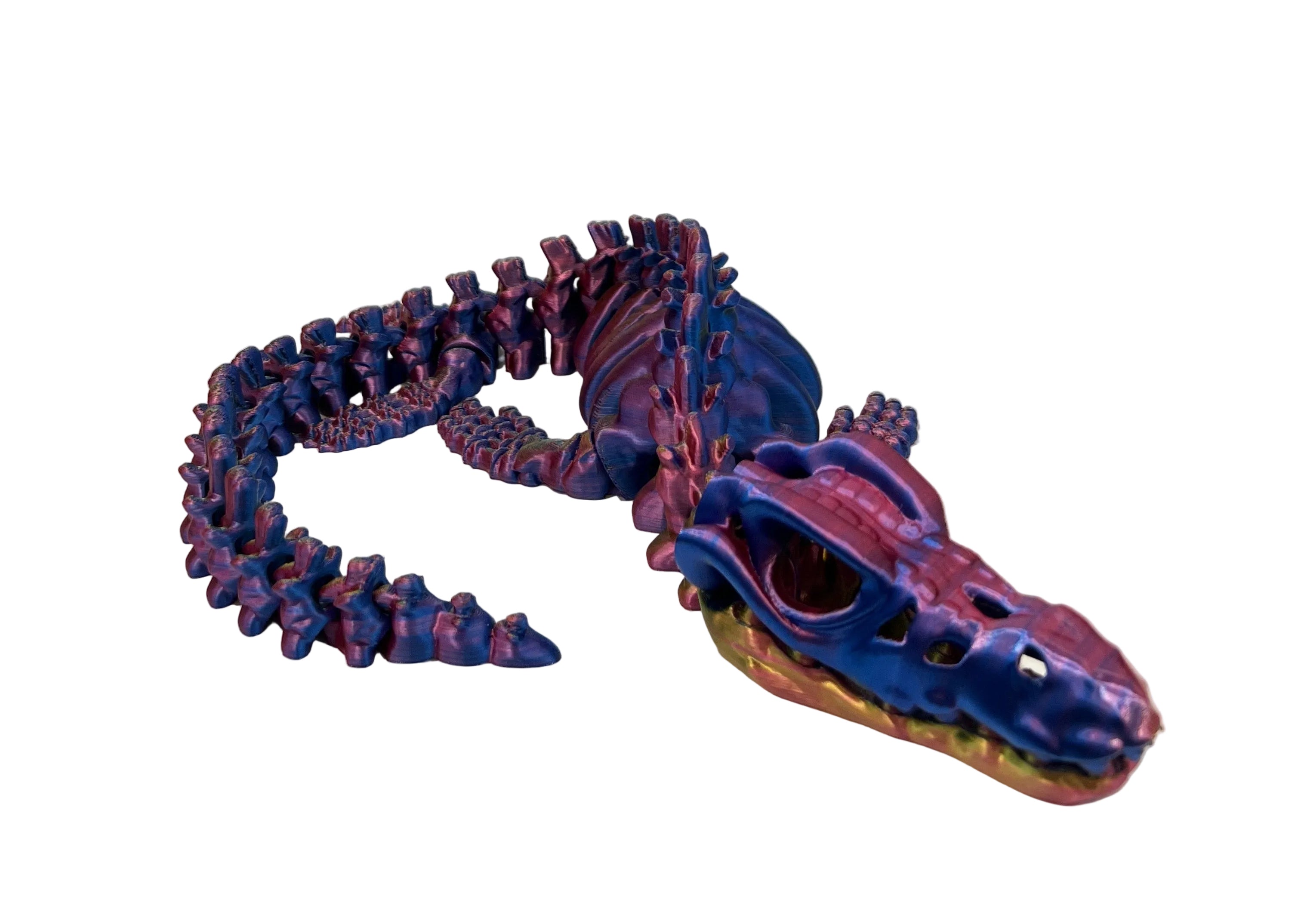 Mosasaurus XX Large Skeleton