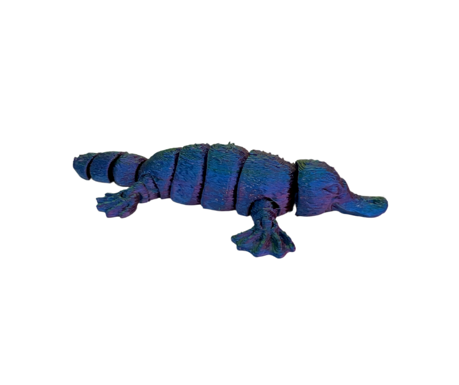 Baby Platypus