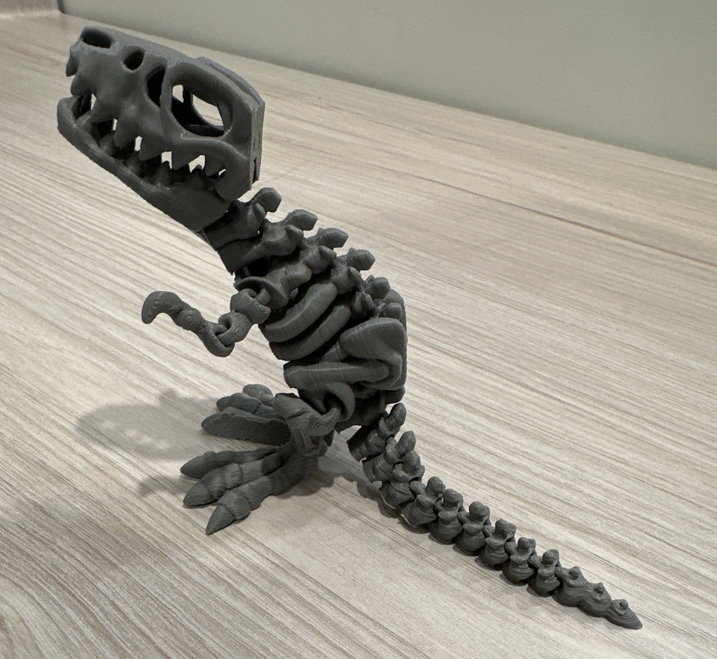 Skeleton Trex - Small