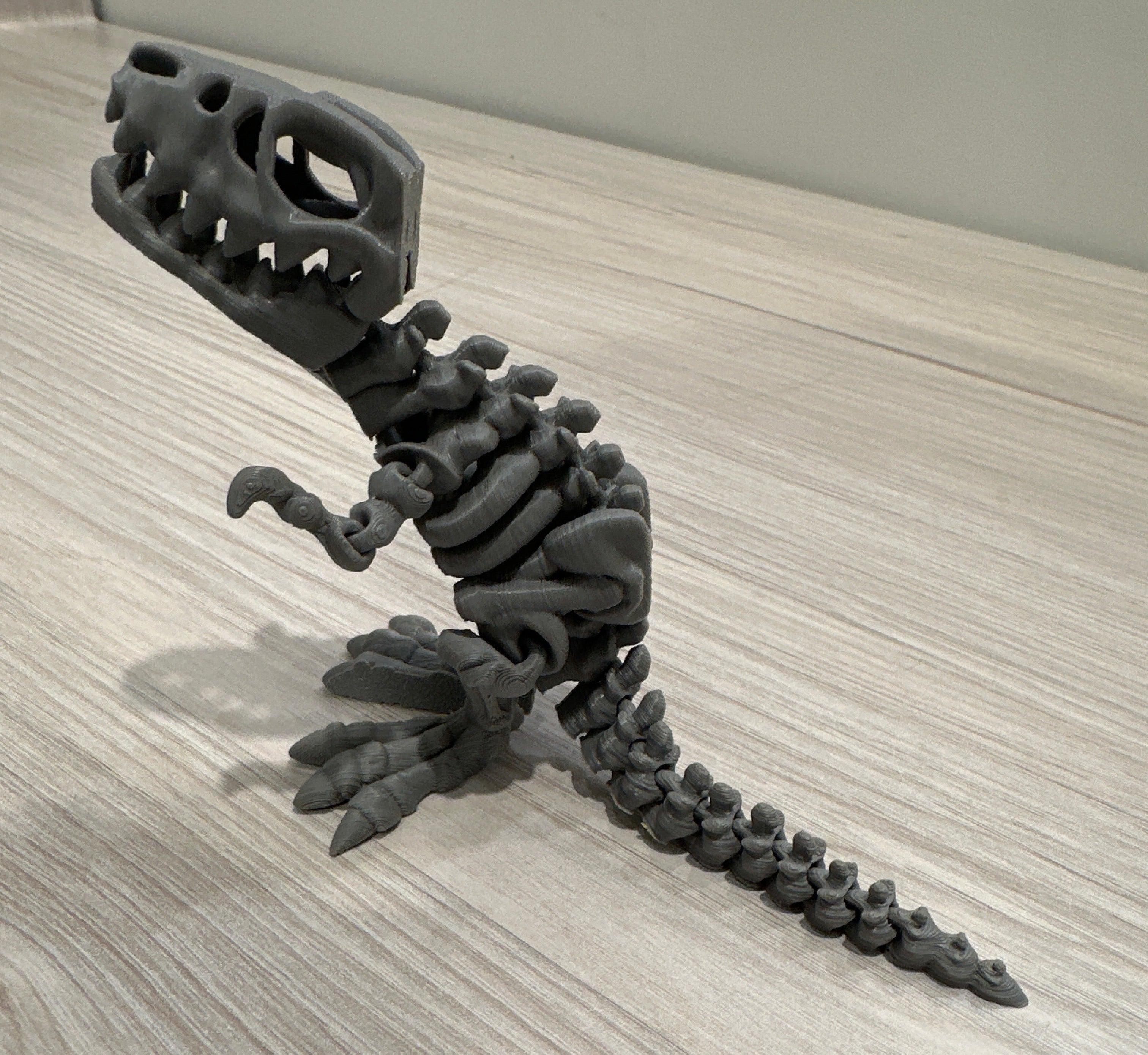 Skeleton Trex - Small
