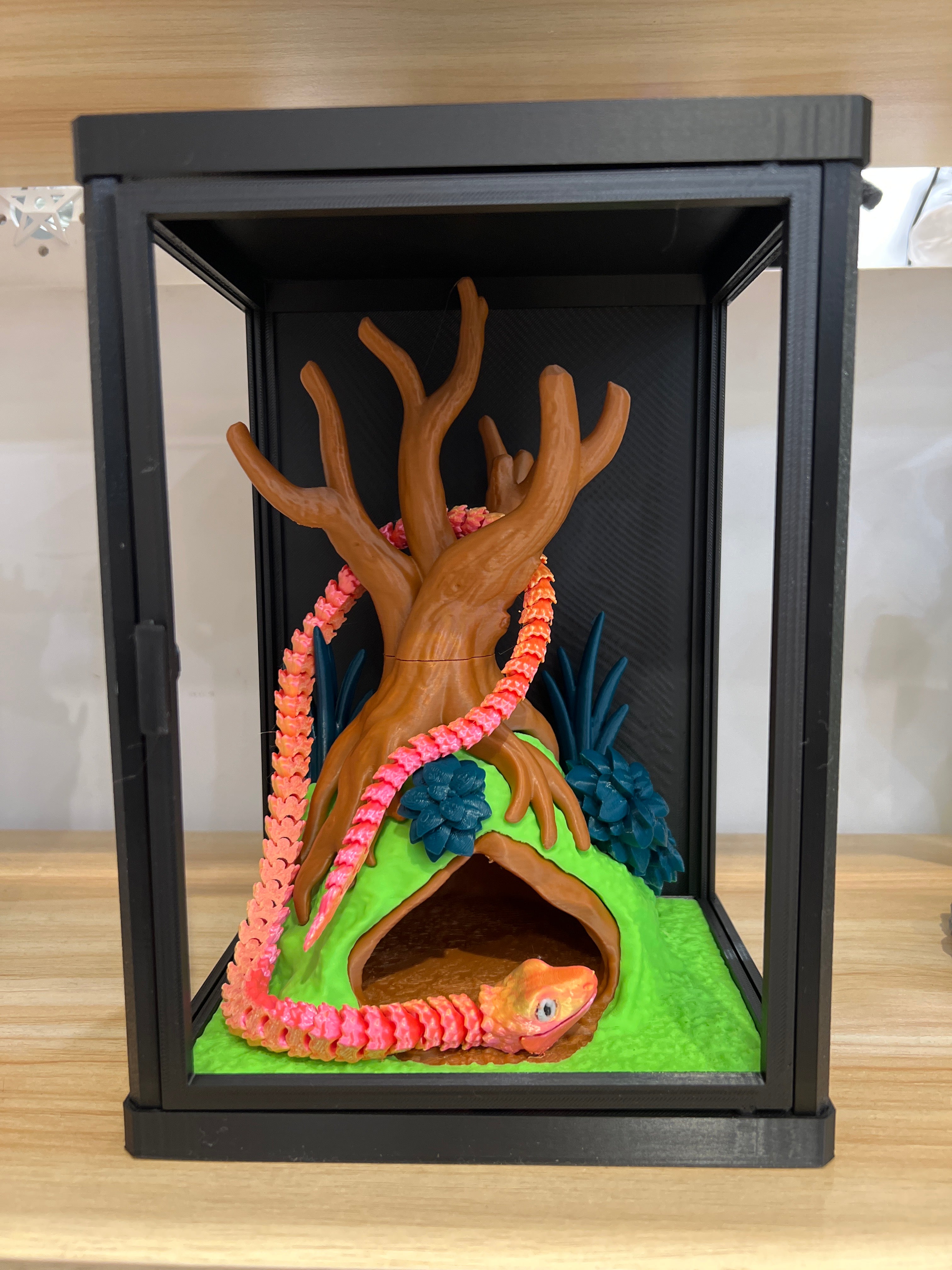 Snake Pet Enclosure