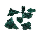 Velvet Malachite