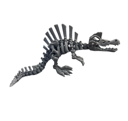 Spinosaurus Skeleton