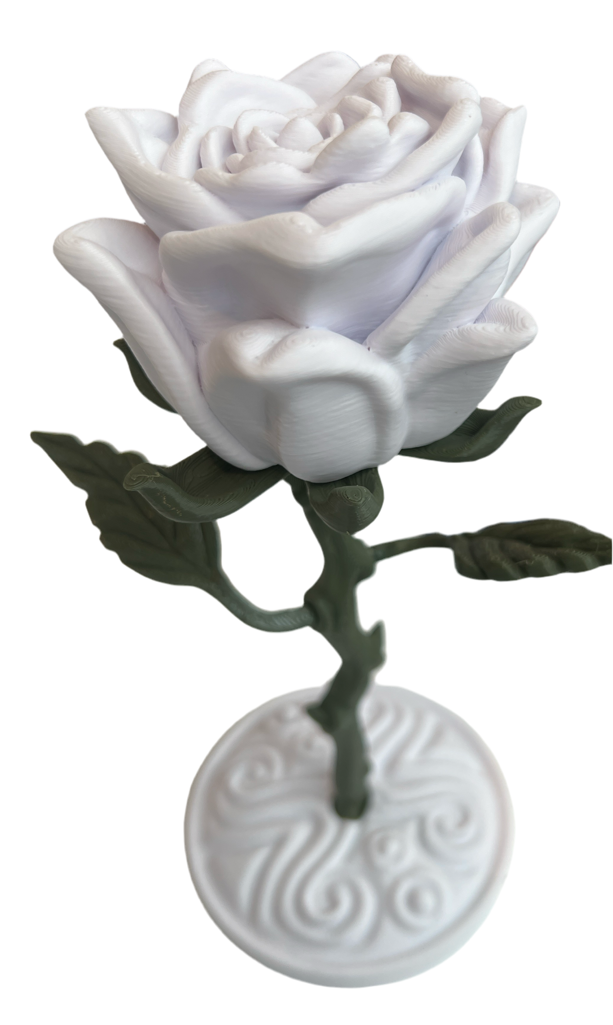 Valentines Roses