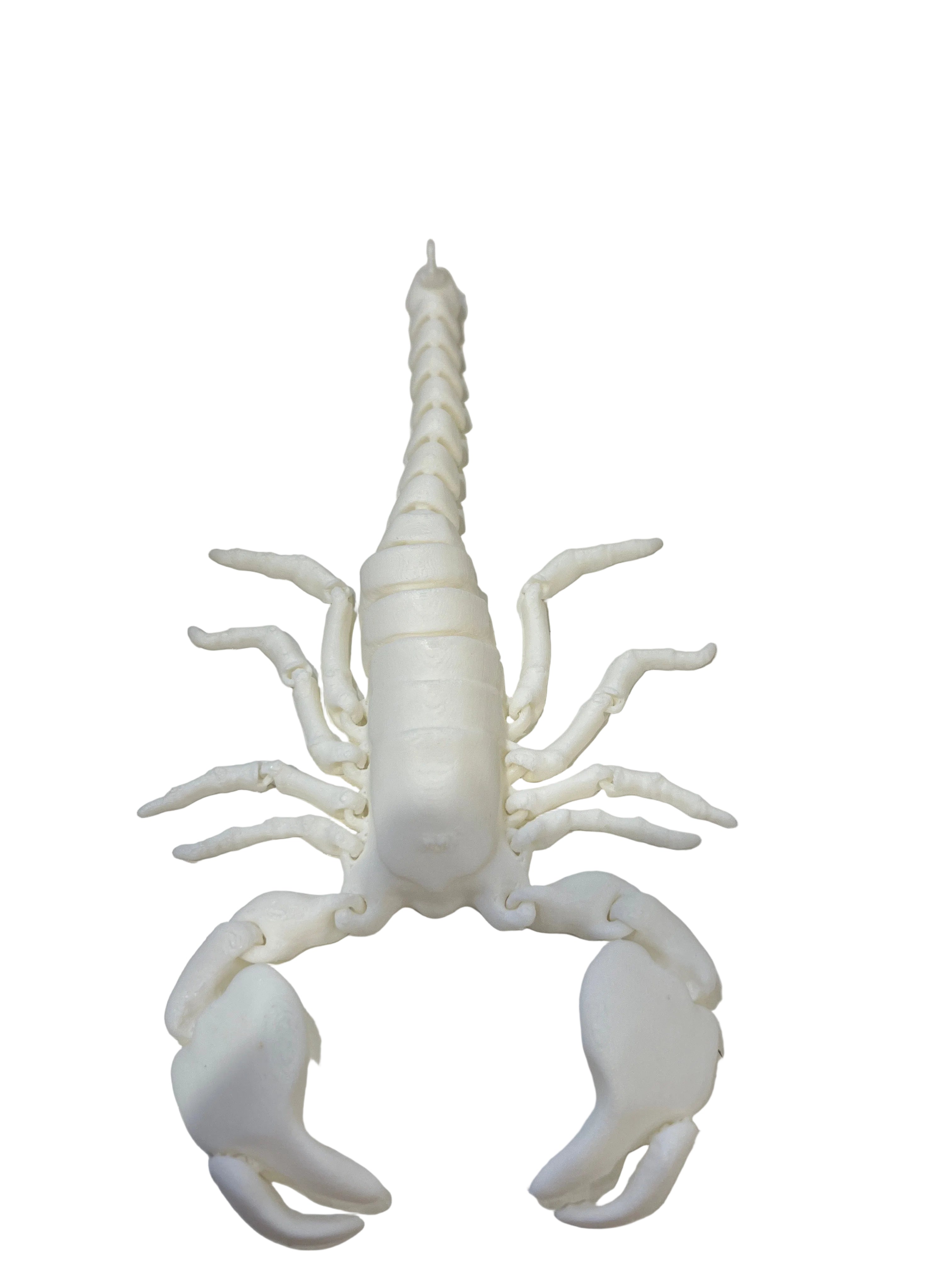 Scorpions - Large