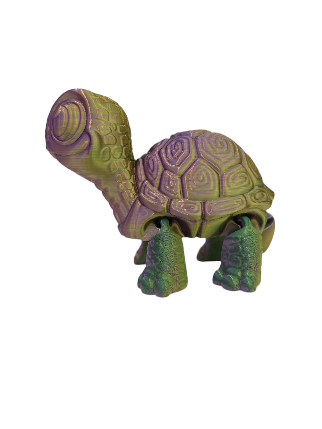 Cute Turtles