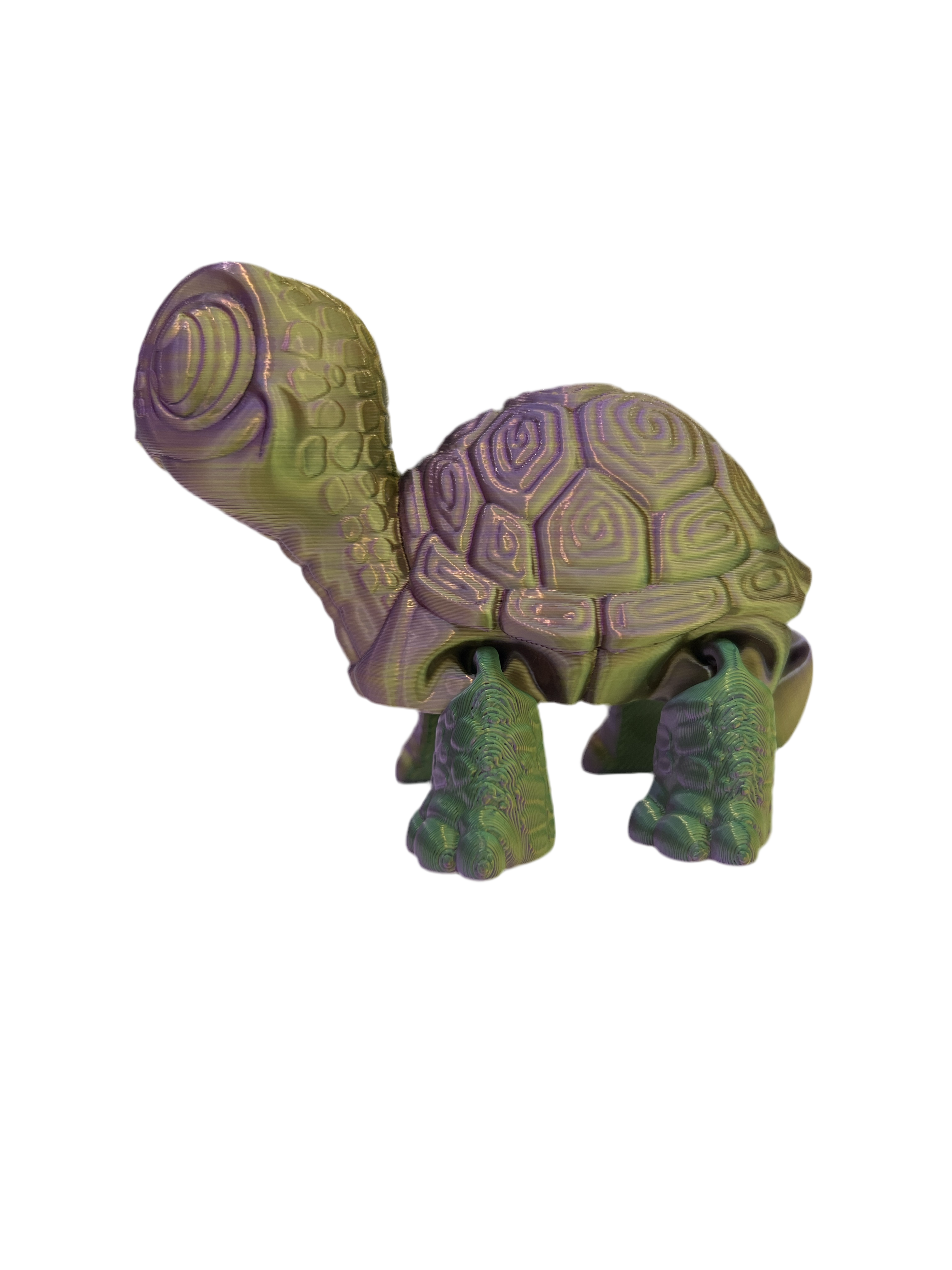 Cute Turtles