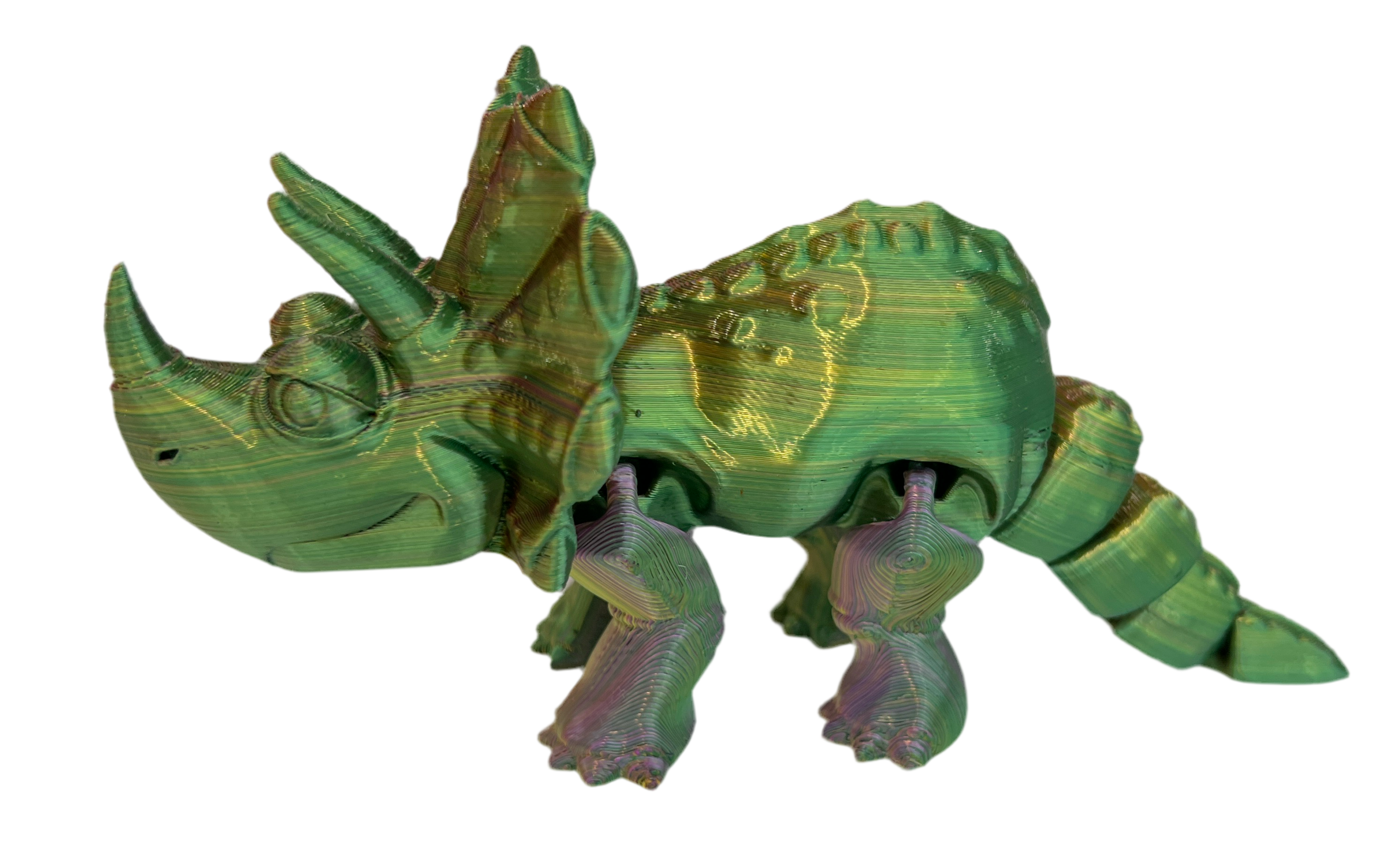 Triceratops