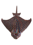 Stingrays (Large)