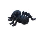 Spiders