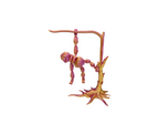 Hanging Sloth & Tree