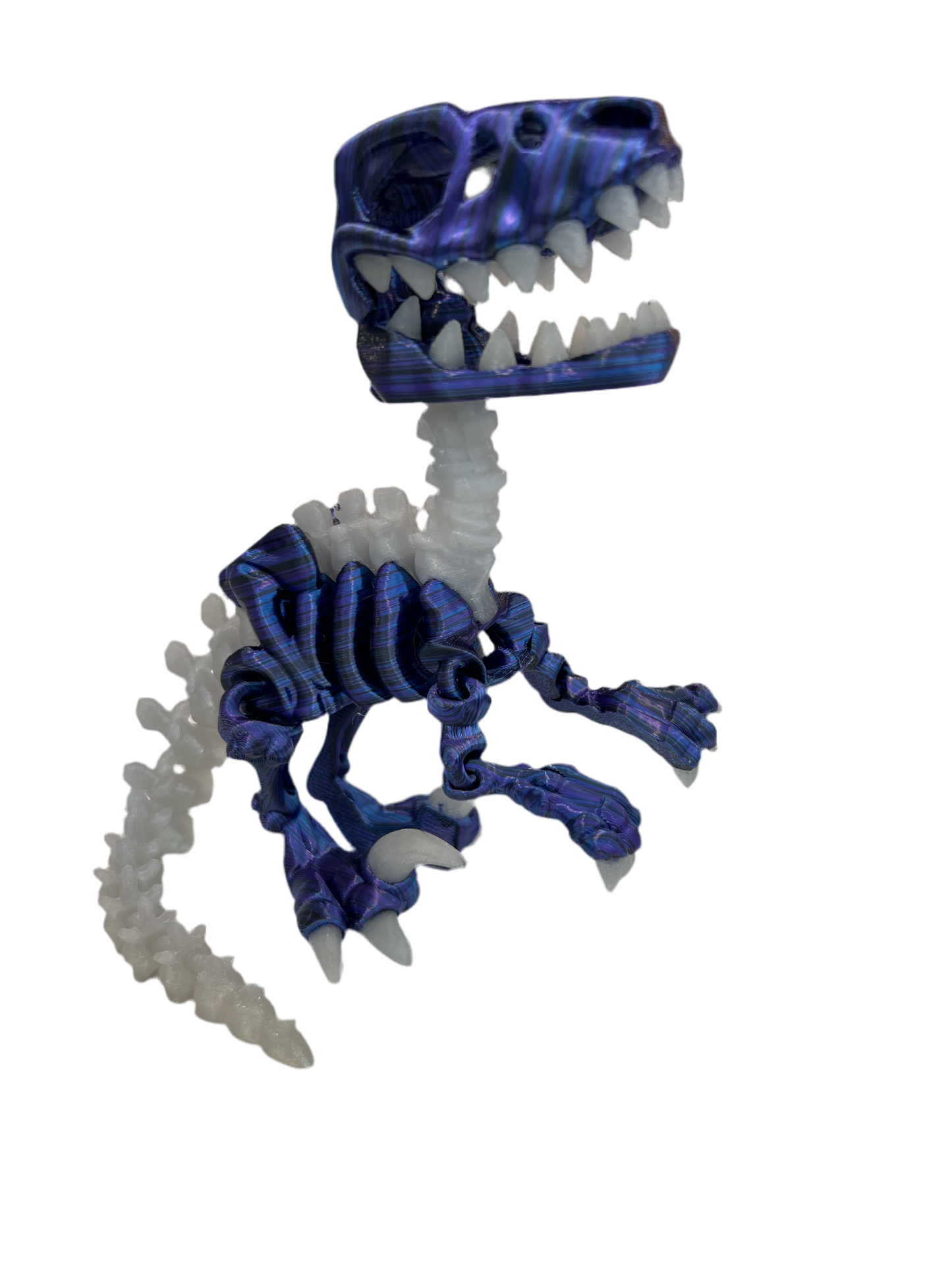 T - Rex Glow in the Dark Skeleton with Bone #8