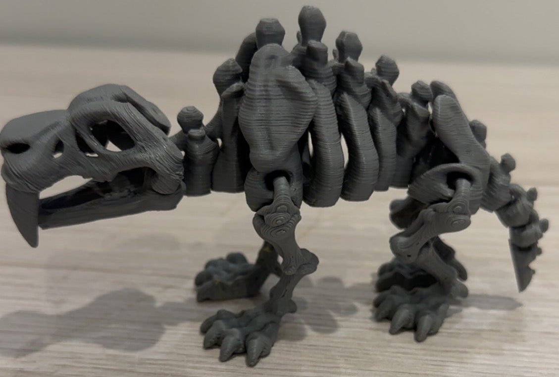 Skeleton Saber Tooth Tiger - Small