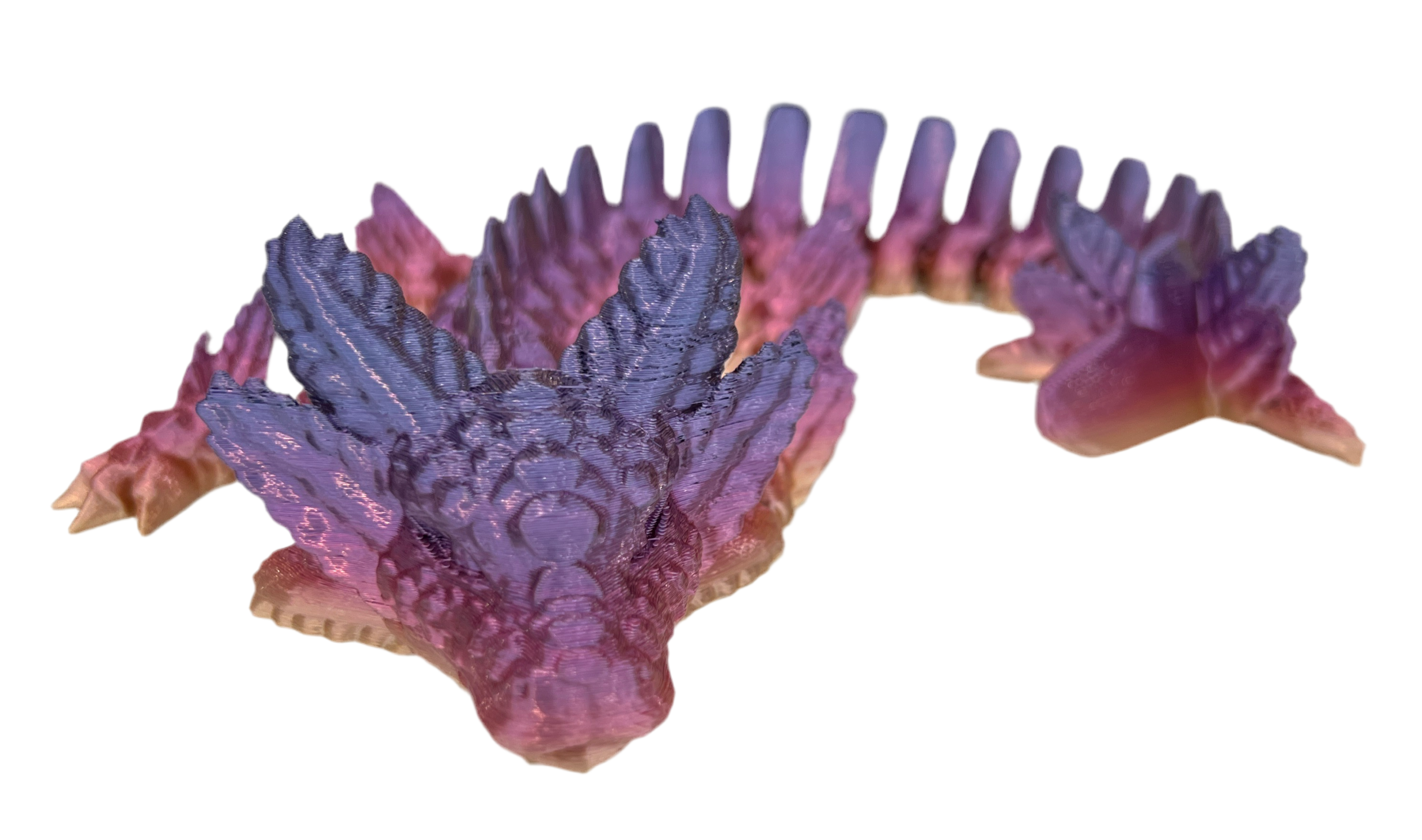 Axolotl Dragons