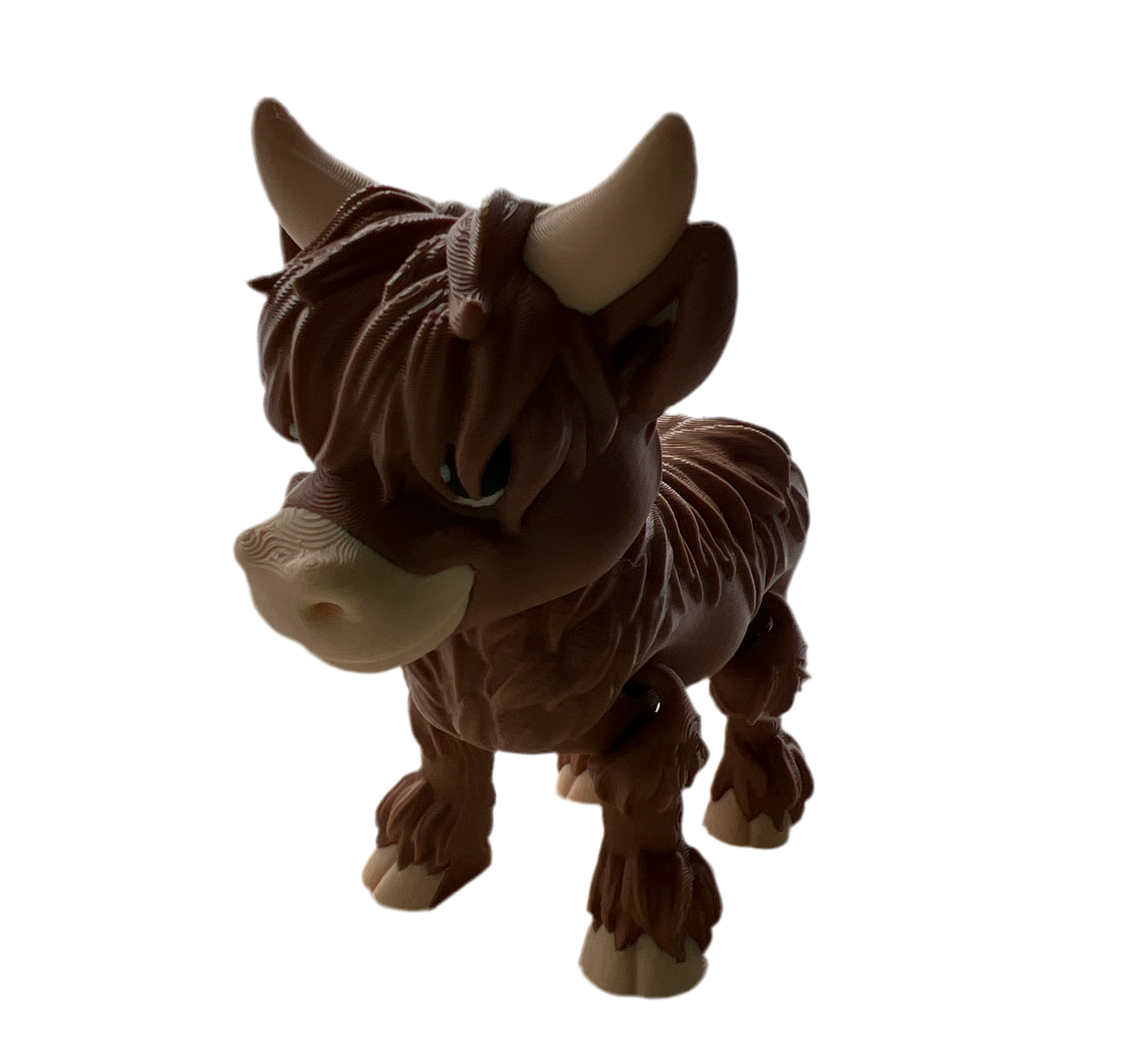 Highland Cows