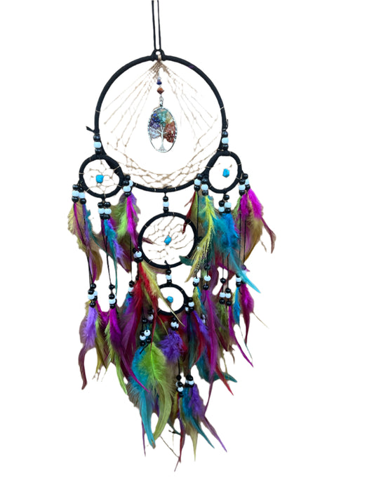 Dream Catchers