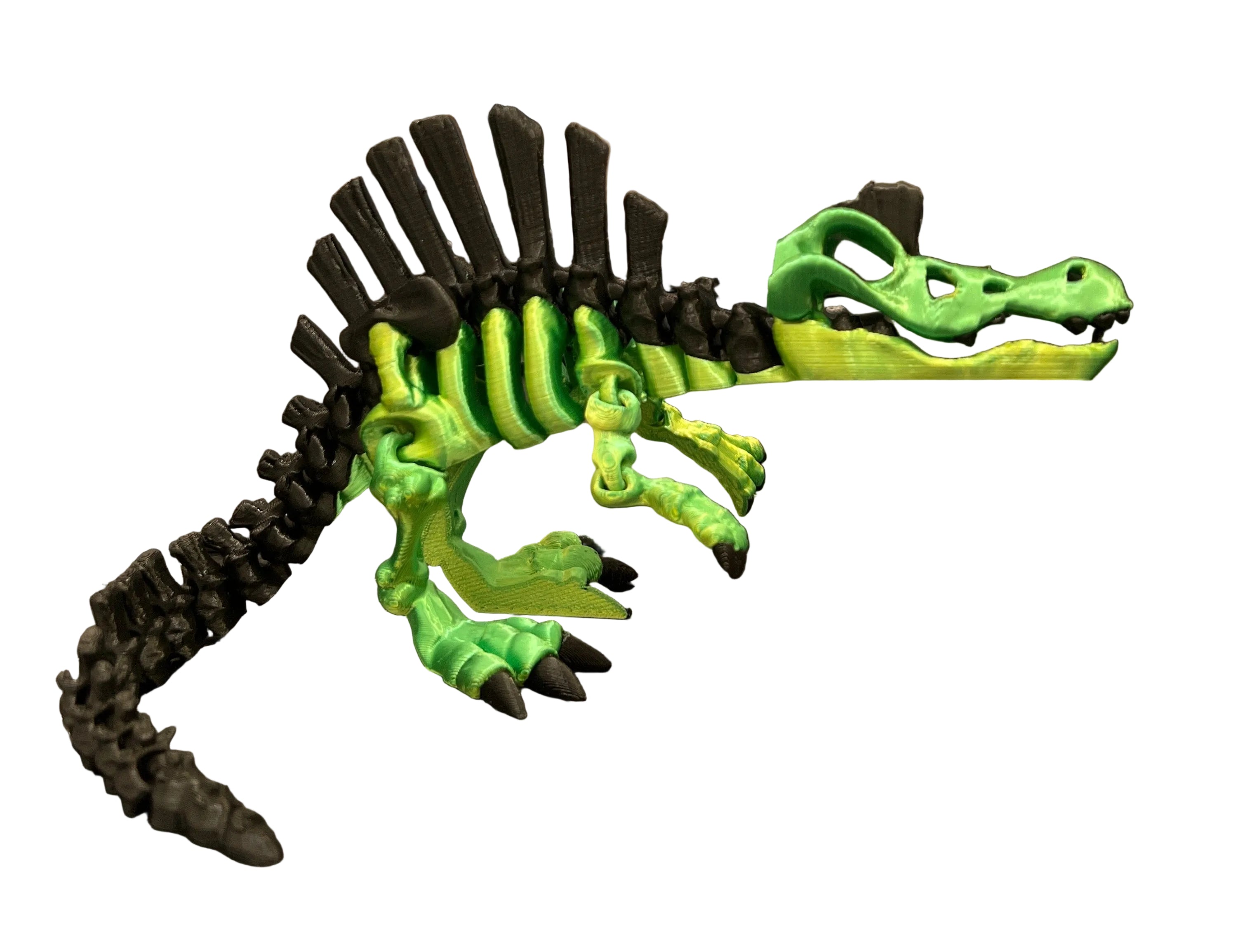 Spinosaurus Skeleton - Large