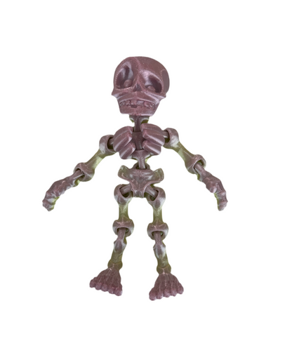 Skeleton