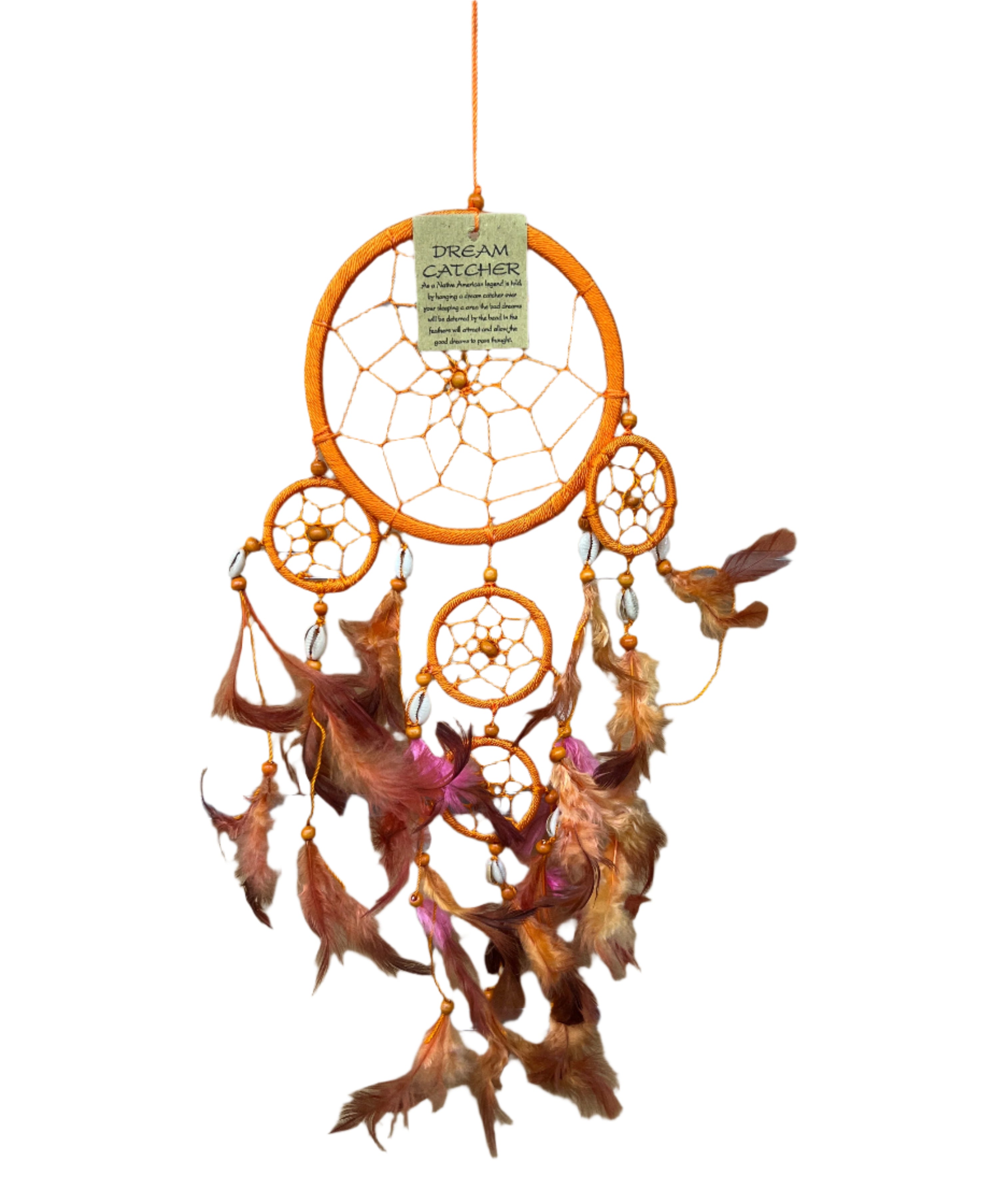 Dream Catchers - Shell