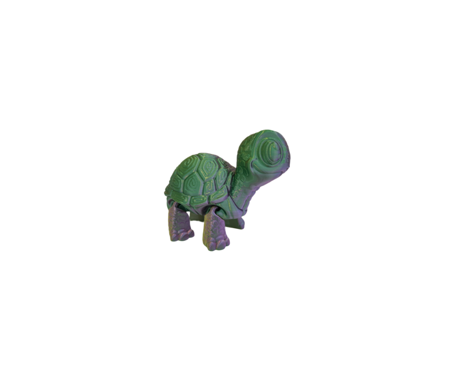 Cute Turtles